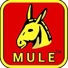 Mule Hunting Clothes