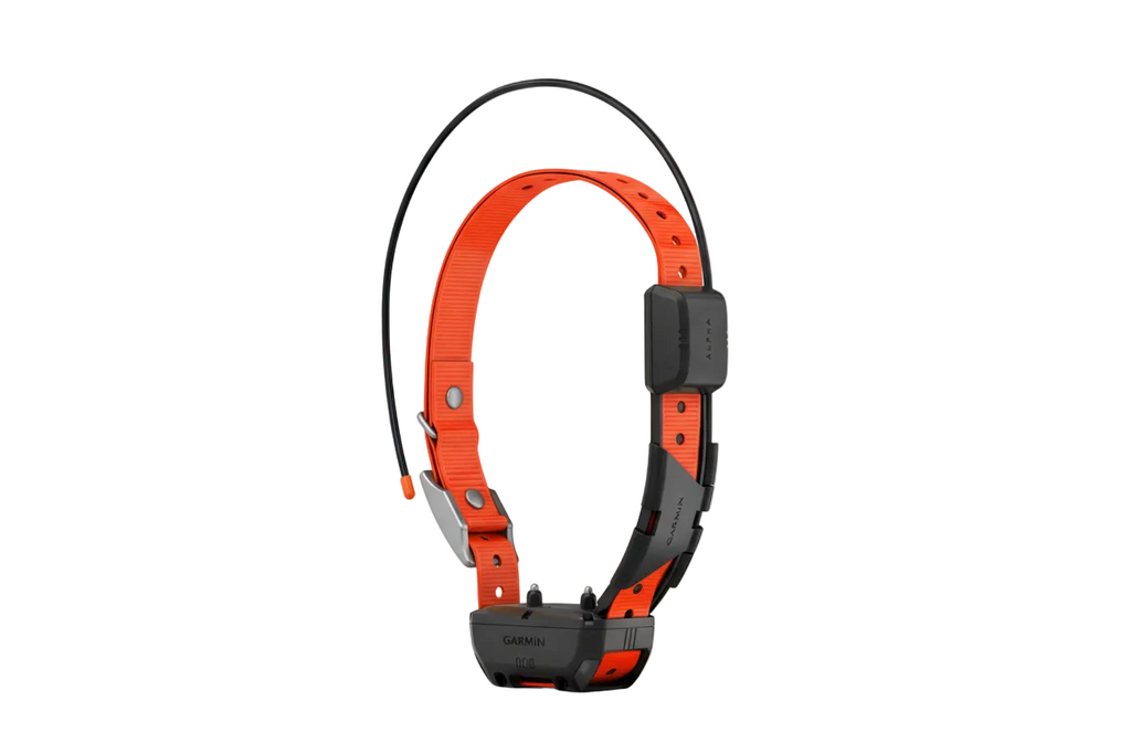Garmin TT25 Collar